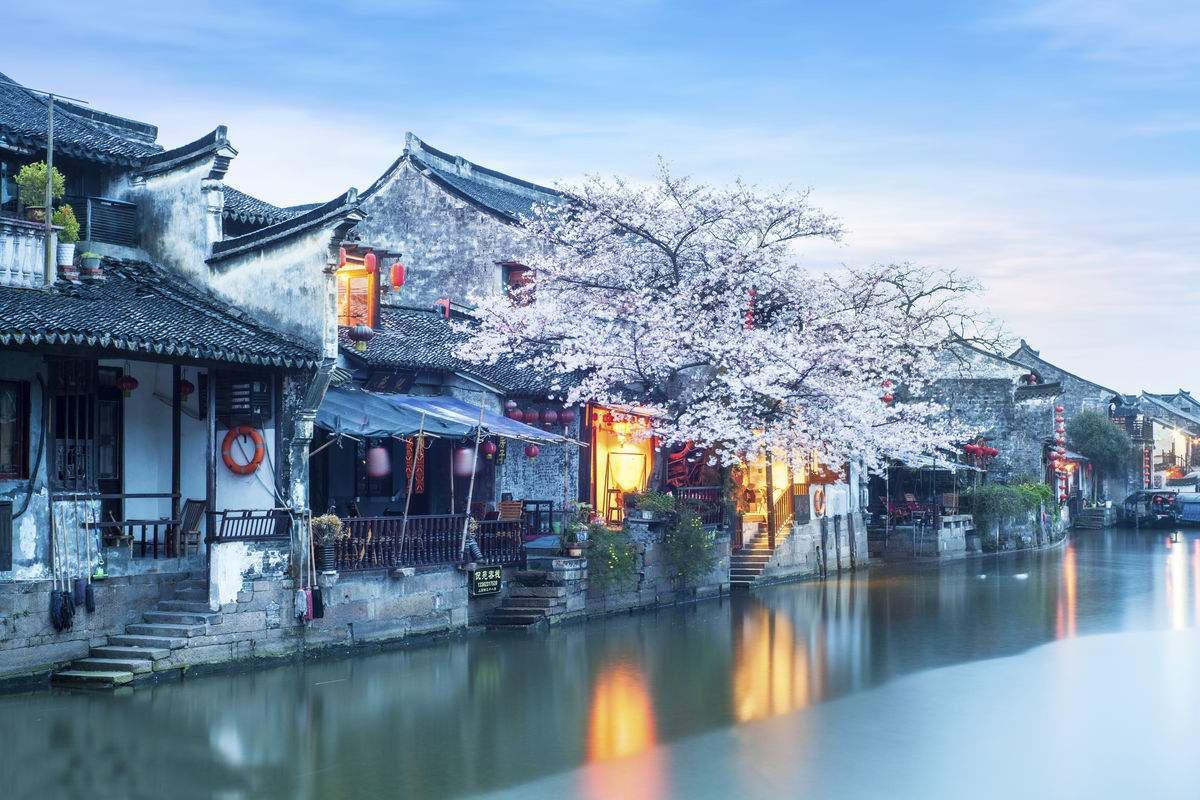 逃离白鸽之森